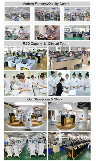 中国 Weifang Eva Electronic Technology Co. , Ltd. 会社概要