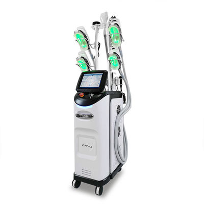 8つのハンドル360度のCryolipolysis機械脂肪質の凍結